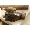 Image 1 : FOLK ART CARVING OF RACCOON'S ON LOG