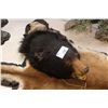 Image 1 : BLACK BEAR NATIVE DANCE MASK