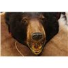 Image 2 : BLACK BEAR NATIVE DANCE MASK