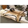 Image 1 : COUGAR RUG 82" LONG WITH PERMIT