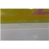 Image 3 : FRAMED PRINT BY ALLEN WOOD 116/250