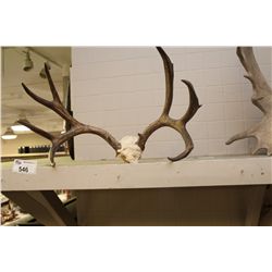 SET OF ANTLERS