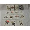 Image 1 : LOT 15 WILD BIRD VINTAGE POSTCARDS