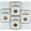 Image 1 : ( 4 ) 1956-D LINCOLN CENTS, NGC MS-66 RED GEMS!