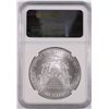 Image 4 : 2004 AMERICAN SILVER EAGLE, NGC MS-69 NICE!