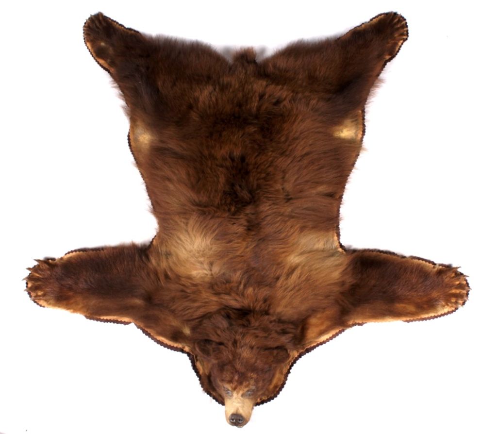 Montana Cinnamon Black Bear Rug