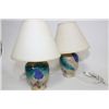 Image 1 : PAIR OF HAND PAINTED STYLE LAMPS