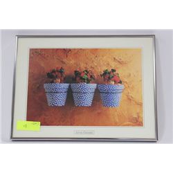 ANNE GEDDES FRAMED POSTER ON CHOICE