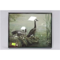 DUCK FRAMED PICTURE
