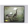 Image 1 : DUCK FRAMED PICTURE
