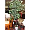 Image 1 : ARTIFICIAL FLOOR PLANT