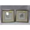 Image 1 : PAIR OF SEASHELL FRAMED PICTURES