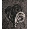 Image 2 : Queen Victoria personally owned black feather aigrette