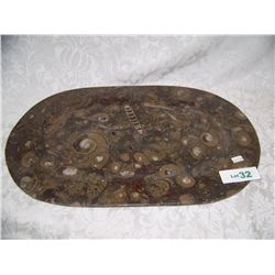 UNIQUE FOSSIL SERVING PLATTER 12 X 18