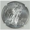 Image 2 : 2013-(W) AMERICAN SILVER EAGLE NGC MS 70 EARLY RELEASE
