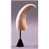 Image 3 : Rare and unique curved Whale Tooth.(Size: See last