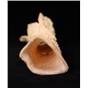 Image 5 : Bone Carving.  Condition Report: A small piece of the