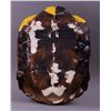 Image 2 : Native American hand painted turtle shell of the Chief