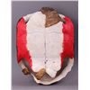 Image 2 : Native American hand painted turtle shell of a Buffalo