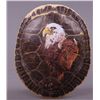 Image 1 : Native American hand painted turtle shell of Bald