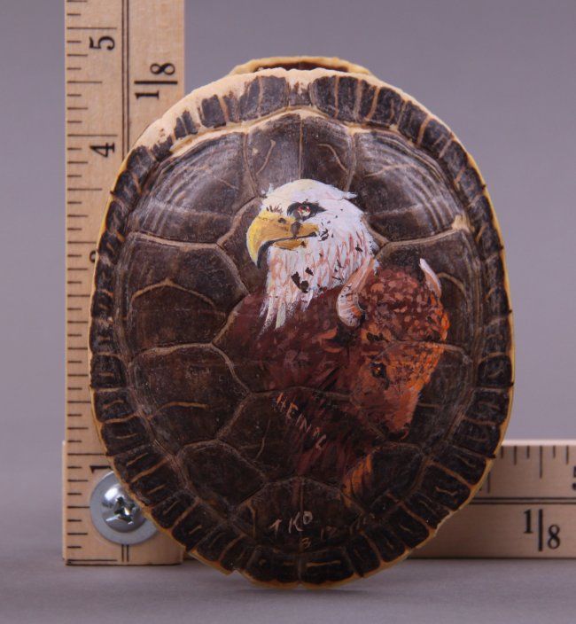 Native American hand painted turtle shell of Bald