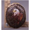 Image 4 : Native American hand painted turtle shell of Bald