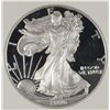 Image 2 : 2006-W PROOF SILVER AMERICAN EAGLE NGC PF-70 !!! UC