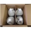 Image 2 : Lot of (4) Bottle of Orange Crunch Hand Cleaner