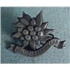 Image 1 : NAZI DEUTSCHES REICHSBAHN PIN W/EDELWEISS-ORIG