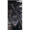 Image 1 : Chinese Watercolour Landscape Signed Li Xiong Cai