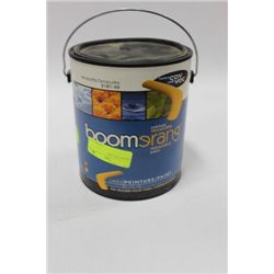 BRAND NEW PAINT, TERRACOTTA COLOR