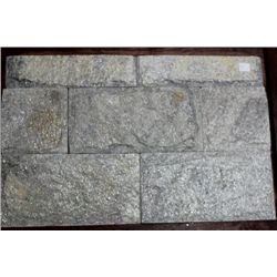 MUSHROOM SLATE 6  X 12 