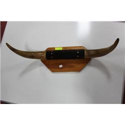 WALL MOUNT BULL HORNS