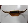 Image 1 : WALL MOUNT BULL HORNS