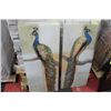 Image 1 : PAIR OF PEACOCK CANVAS PICTURES