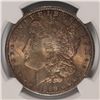 Image 2 : 1898 MORGAN DOLLAR NGC MS-63 (NICE TONING)