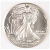 Image 1 : 1991 SILVER AMERICAN EAGLE
