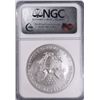 Image 4 : 2008-W (REV OF 07) SILVER AMERICAN EAGLE NGC MS-69 ER (RARE)