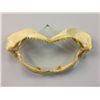 Image 1 : Large Set of Shark Teeth (20" X 10.5")