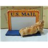 Image 3 : LOT 2 USPS BUSINESS CARD HOLDER