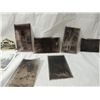 Image 3 : ASSORTED VINTAGE PICTURE NEGATIVES & ENVELOPE
