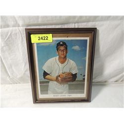 MICKEY LOLICH FRAMED PHOTO