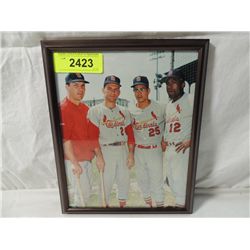 CARDINALS FRAMED PHOTO
