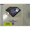 Image 2 : LOT 7 NFL ANNIVERSARY PATCHES