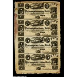 Ithaca, NY - Tompkins County Bank $5-$5-$5-$5 G6-6-6-6 Uncut SheetAnother extremely rare and possibl
