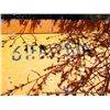 Image 4 : 1990 VALK SNOW PLOW, REVERSIBLE S/N: 12501, NOTES: WORN FRAME (print sequence:) FA12874N-00
