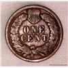 Image 2 : 1899 1 Cent "Indian Head Cent"