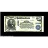 Image 1 : Ironton, MN - $20 1902 Plain Back Fr. 655 The First NB Ch. # 10382A better note from the only bank h