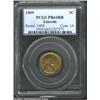 Image 1 : 1909 1C PR64 Red and Brown PCGS. The designation red and brown fails to describe the color on this p