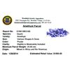 Image 2 : APP: 1k 25.00CT Amethyst Parcel